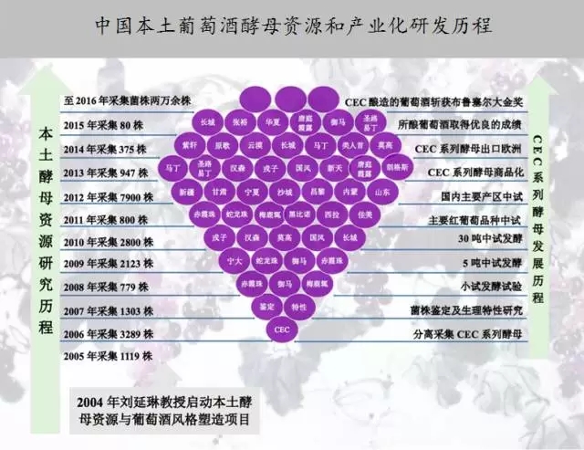 中国本土的酵母资源研究和优良酵母菌的产业化研发