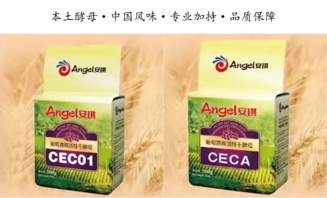 中国本土的酵母资源研究和优良酵母菌的产业化研发