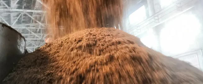 安琪酿酒曲创新实践：芝麻香白酒品质与产量的双突破